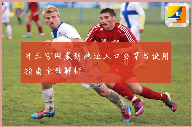开云官网最新地址入口分享与使用指南全面解析