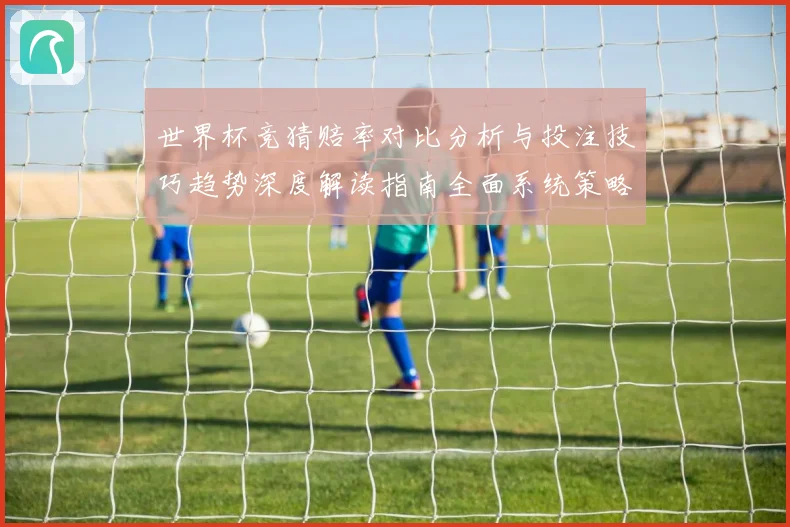 世界杯竞猜赔率对比分析与投注技巧趋势深度解读指南全面系统策略