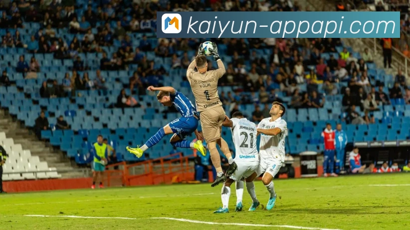 开云平台展示图